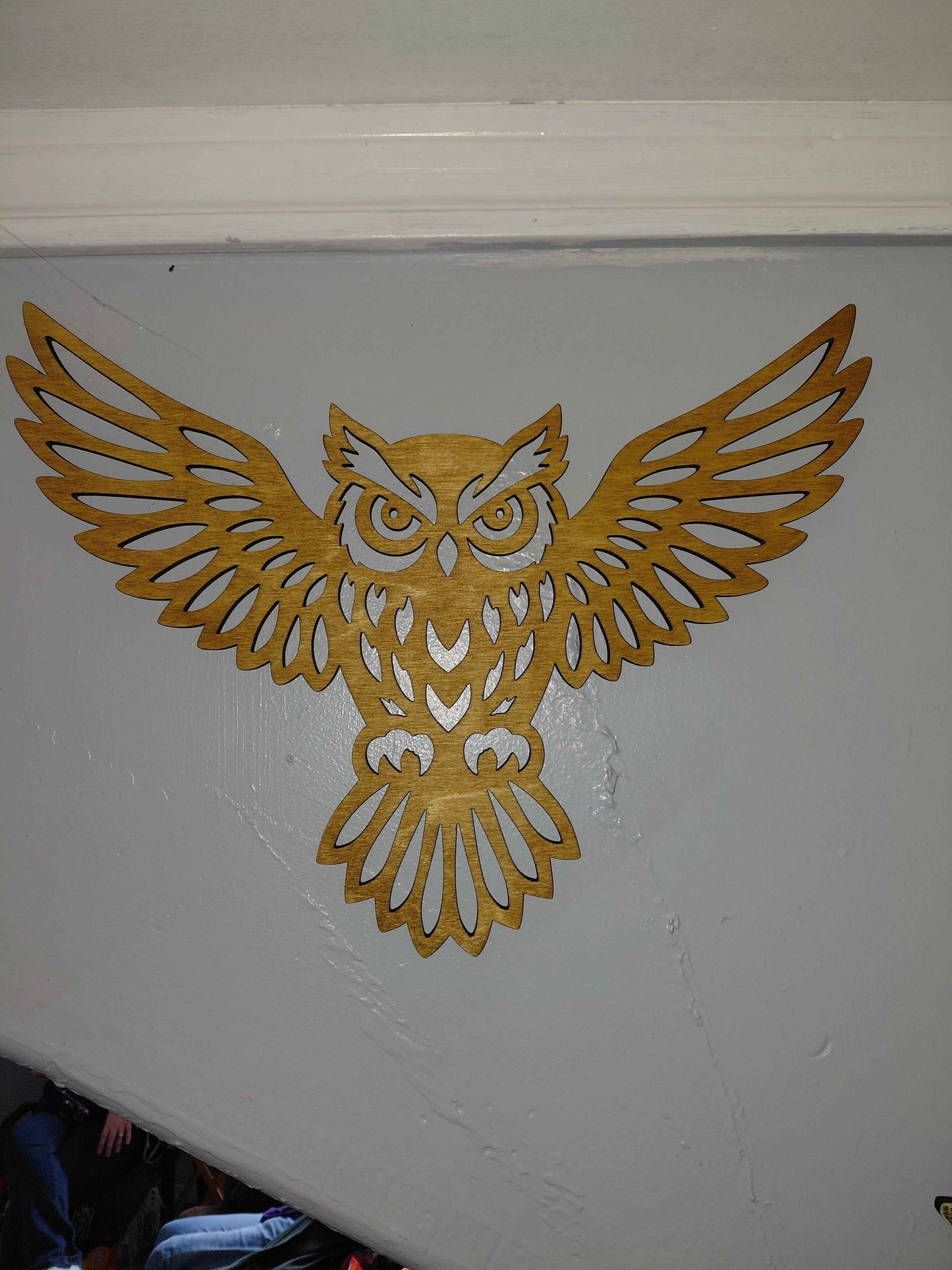 Owl with Spread Wings